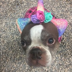 Meet your Posher, Sara